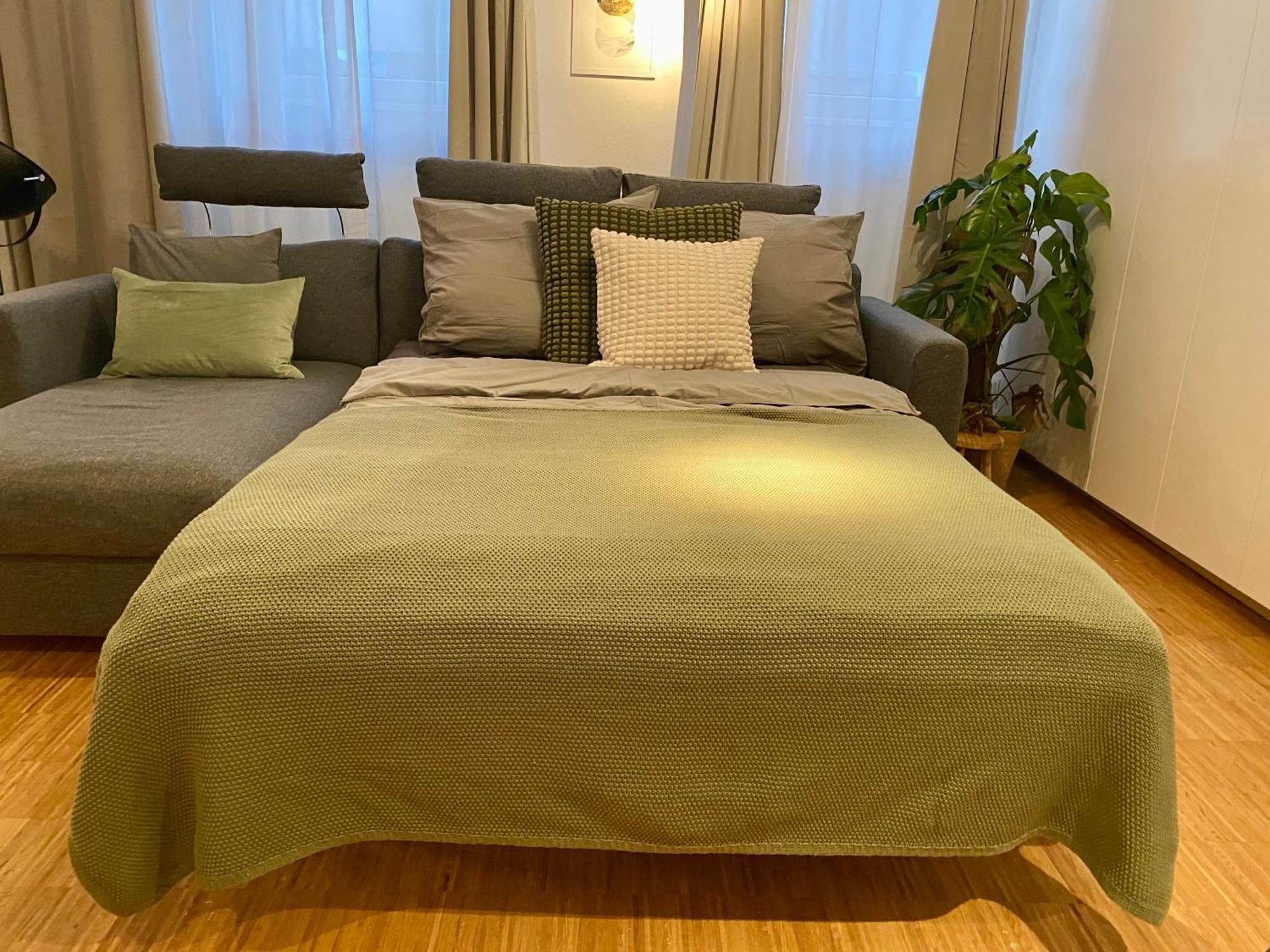 Stylish With Cinema, 2-min Tram Appartement